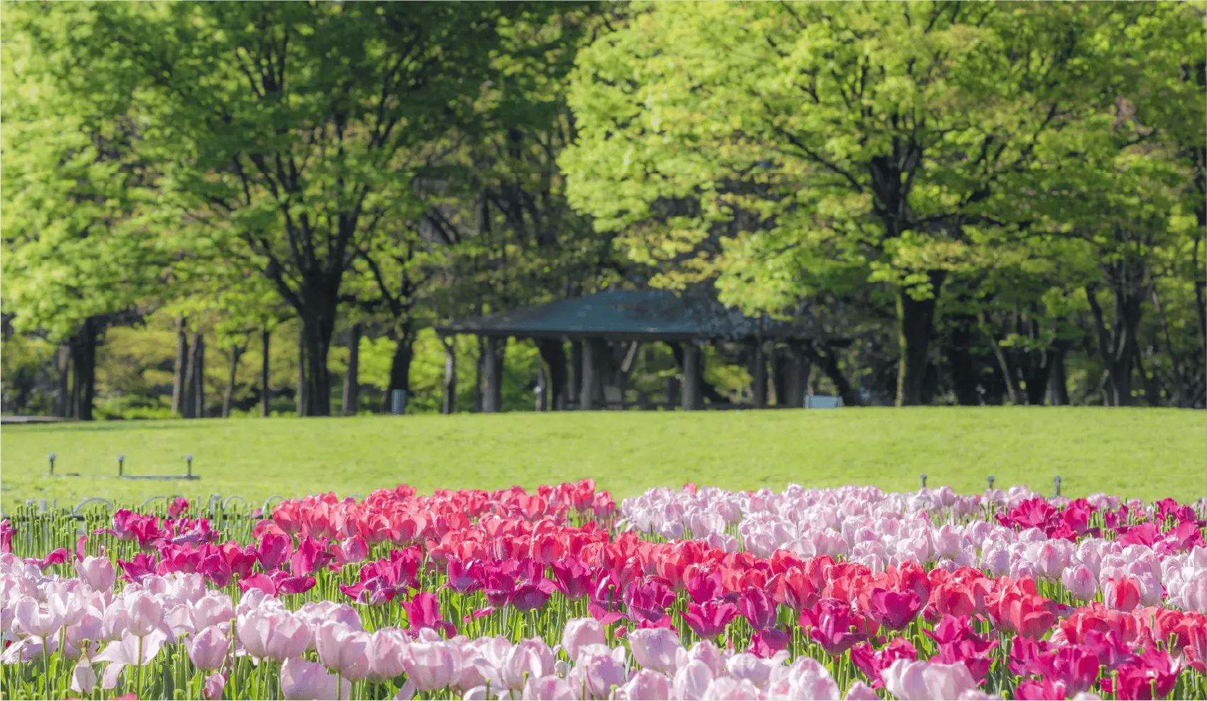 名城公園