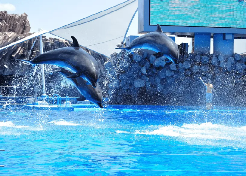 名古屋港水族館