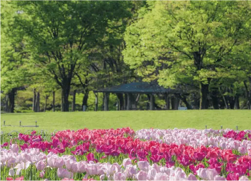 名城公園
