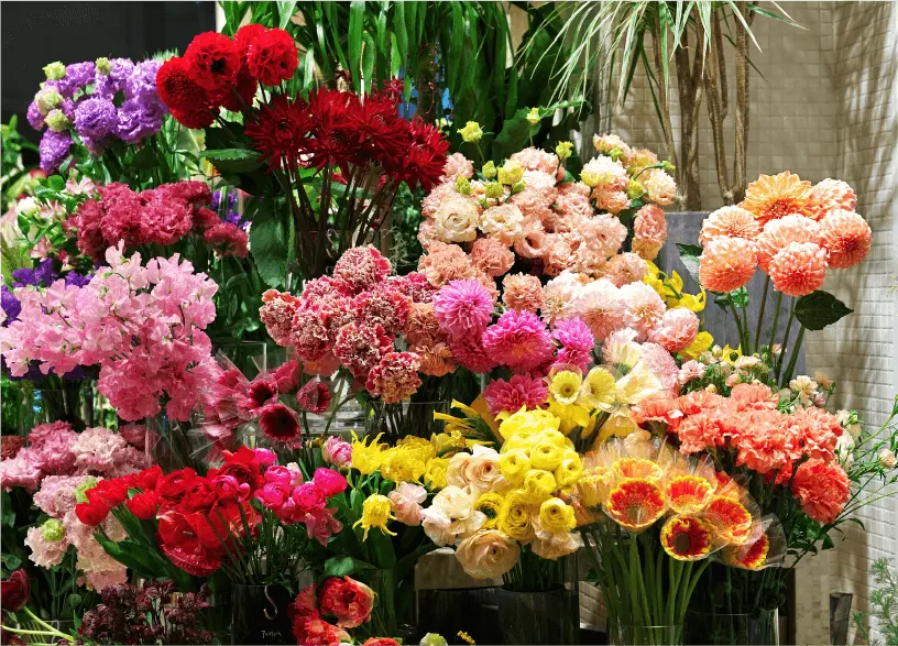 名花園