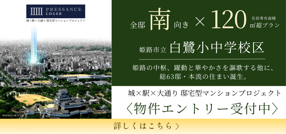 城×駅×大通り 邸宅型マンションプロジェクト