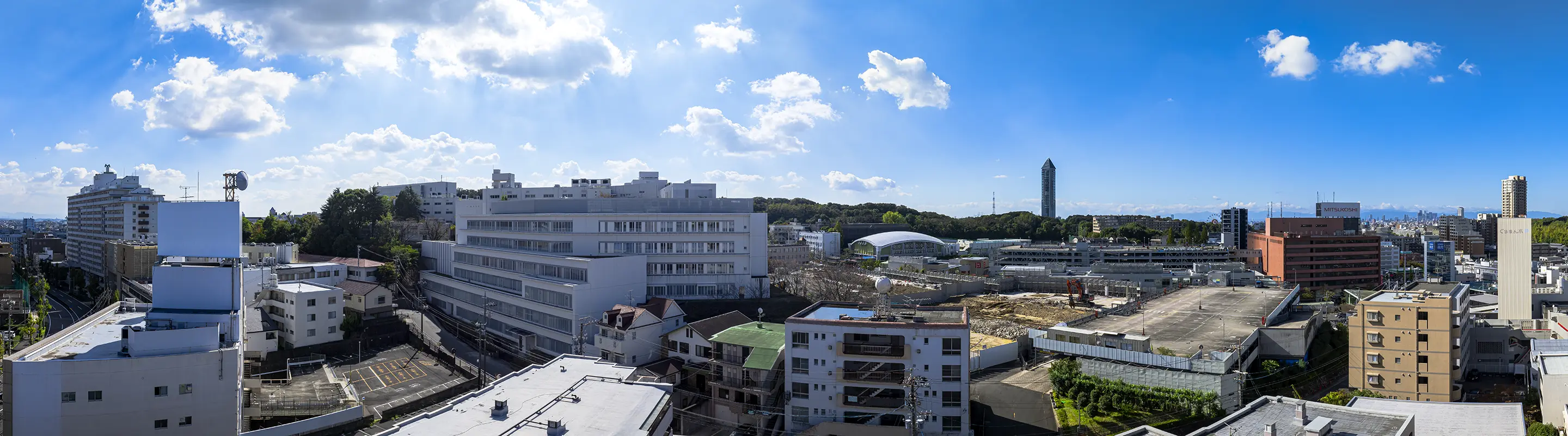 Cタイプ11階