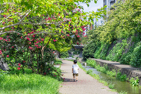 堀川遊歩道 徒歩1分(現地より約70m)