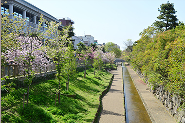 堀川遊歩道 徒歩1分(現地より約70m)
