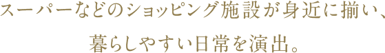 スーパーなどのショッピング施設が身近に揃い、暮らしやすい日常を演出。