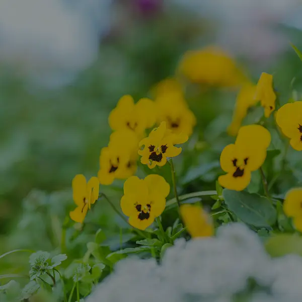 OUTLINEページリンク