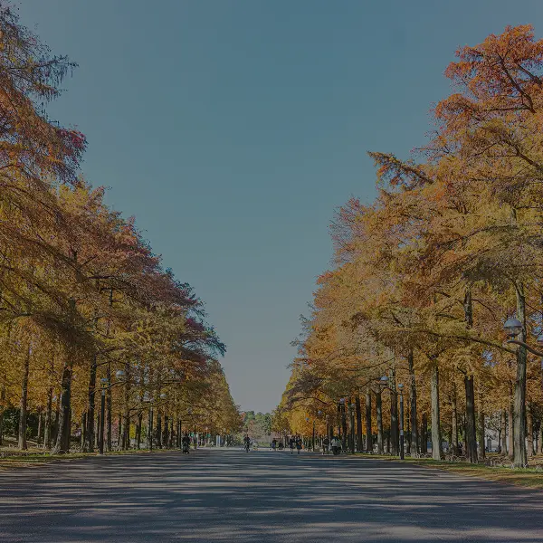 MAPページリンク