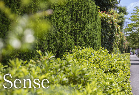 現地周辺の街並み