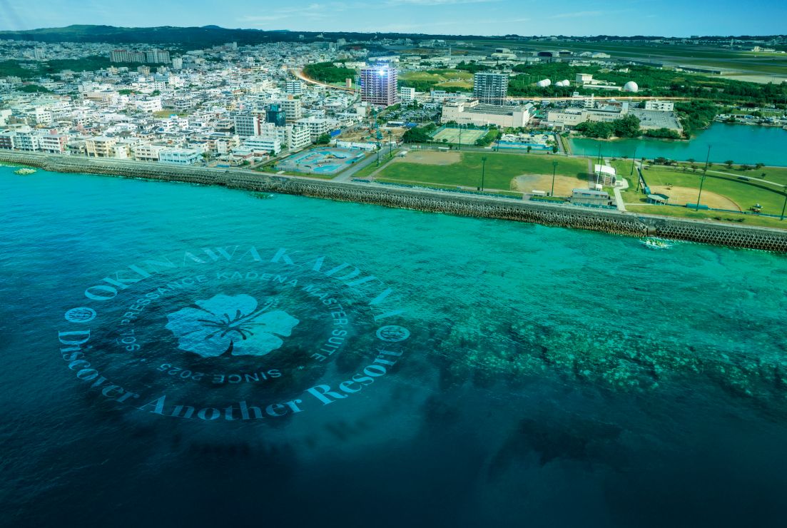 現地周辺航空写真
